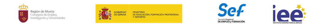 Financiado por SEF, Ministerio de Trabajo y Fondo Social Europeo