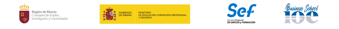 Financiado por SEF, Ministerio de Trabajo y Fondo Social Europeo