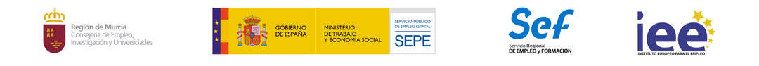 Financiado por SEF, Ministerio de Trabajo y Fondo Social Europeo